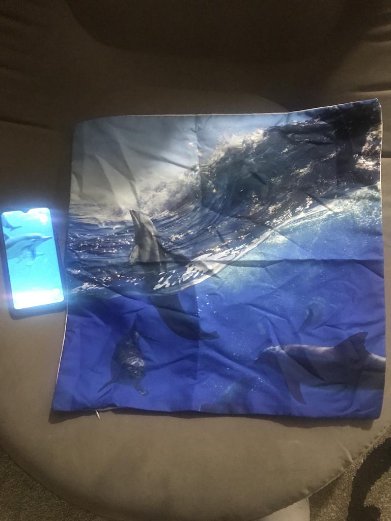 dolphin pillow case