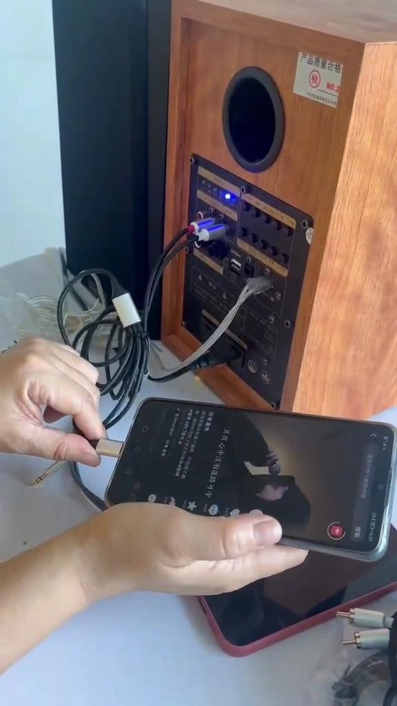 Audio-Adapterkabel, universelles Audiokabel für Apple- und Android-Telefone, Typec-zu-Lotus-Head-RCA-Leistungsverstärker-Fieberkabel