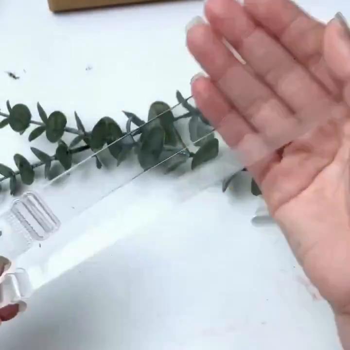 TPU Klare Träger Hohe Elastizität Nahtlose Unsichtbare BH-Träger Verstellbar Abnehmbar BH-Zubehör Farbe Vlies BH-Komponenten