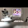 Přenosný chirurgický mikroskop/endodontický mikroskop s kamerou, zoomovatelný 16 megapixelový, přizpůsobení