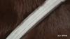 12 Months, , -parasite Collar, -flea, -tick, Leishmaniosis,For Small And Medium Dogs