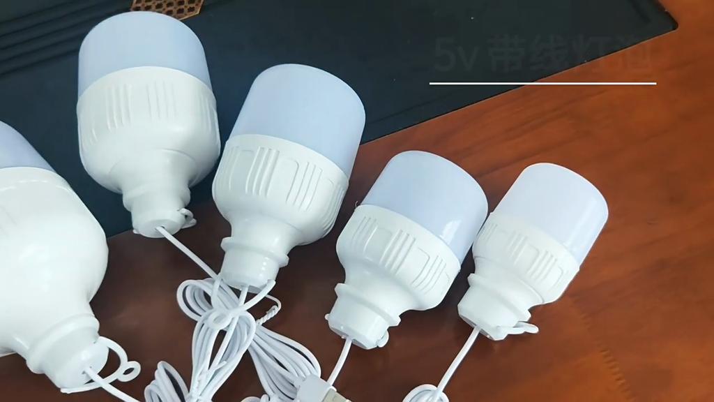 1PC outdoor USB LED light bulb power bank charging emergency light hook camping fishing portable tent lantern night light bulb