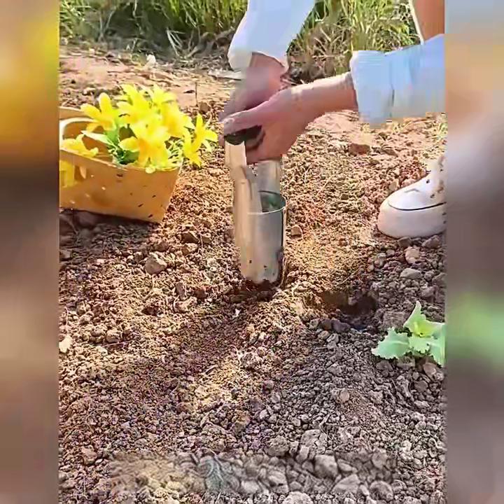 3PCS Upgrade Your Gardening Game With Stainless Steel Seedling Planter Tool Set, Make Planting Easier And More Efficient!