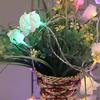 3M 20 LED-Rosen-Lichterkette, batteriebetrieben, Blumenbeet-Lichterkette, Feenlampe, Neujahrs-, Weihnachts-, Valentinstags-, Hochzeits- und Partydekoration