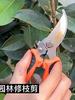 Seiko Art Park Scissors for Branch Cutting, Special Scissors for Branch Trimming, Garden Fruit Tree Trimming, Household Scissors