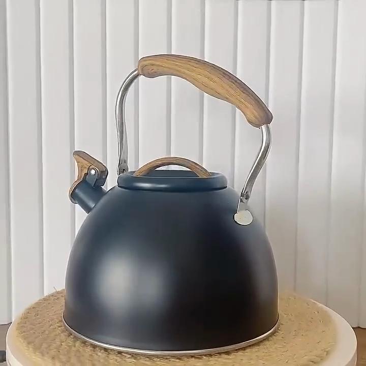 3L Teekessel Edelstahl Eingebaute Pfeife Auslaufsicher Lebensmittelqualität Mattes Finish