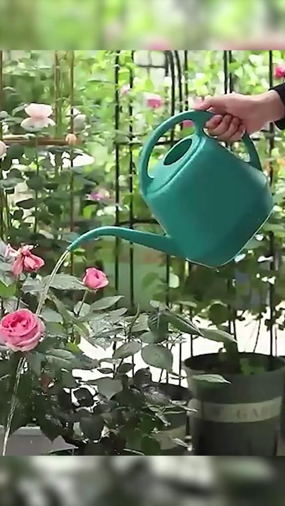 Watering Can High Capacity Non-slip Anti-fall Long Spout Garden Flowers Watering Device for Backyard