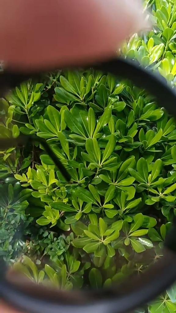 Męskie i Damskie Retro Punkowe Outdoorowe ND9 Regulowane Spolaryzowane Okrągłe Okulary Przeciwsłoneczne Gogle Wędkarskie Outdoorowy Przeciwsłoneczny Filtr UV400