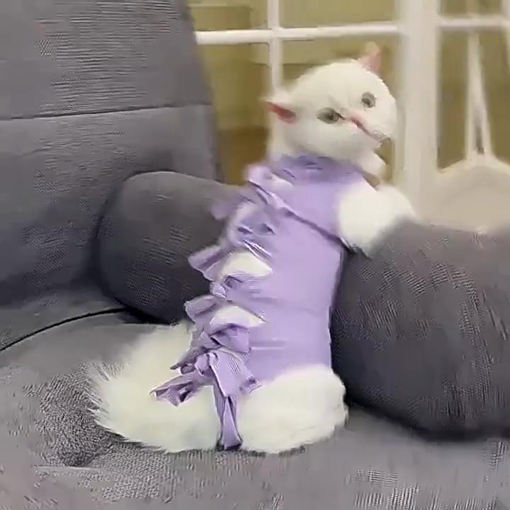 Cat Recovery Suit Breathable Anti-Lick Surgical Suit Post Surgery Neuter Outfit for Cats Kittens