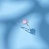 Tancise Classic 925 Sterling Silver Zircon Opal Ring Ladies Jewelry Wedding Promise Party Gift