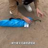 Portable Canopy Beach Tent Pop-Up Sunshade Uv Resistant Camping Bed Tent Windproof and Sunscreen Sun Shelter Canopy Garden House