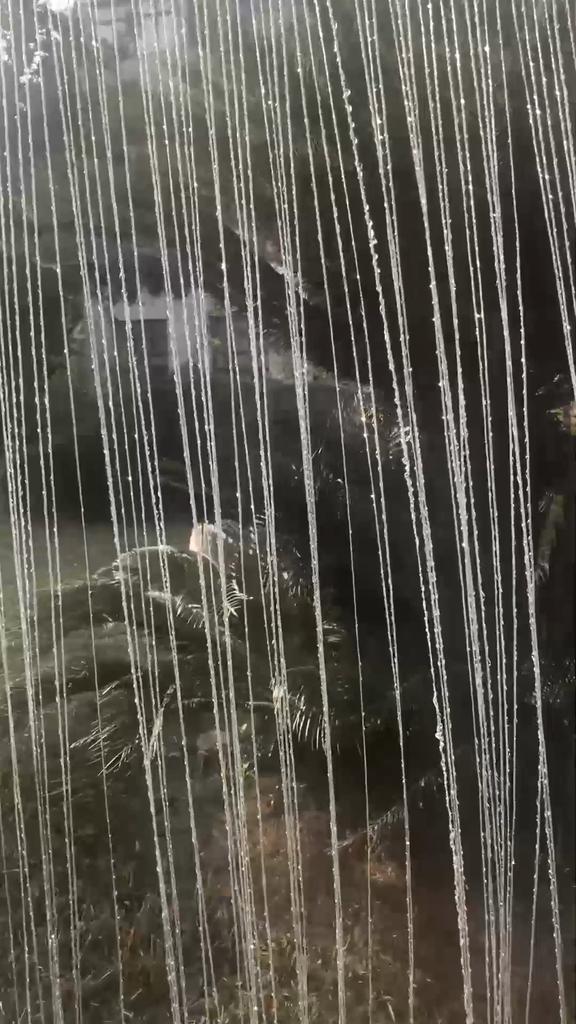 Dveřní Dekor Okenní Zástěna Třásně střapec Závěs Provázek Závěsy Závěsy do pokoje Závěsy
