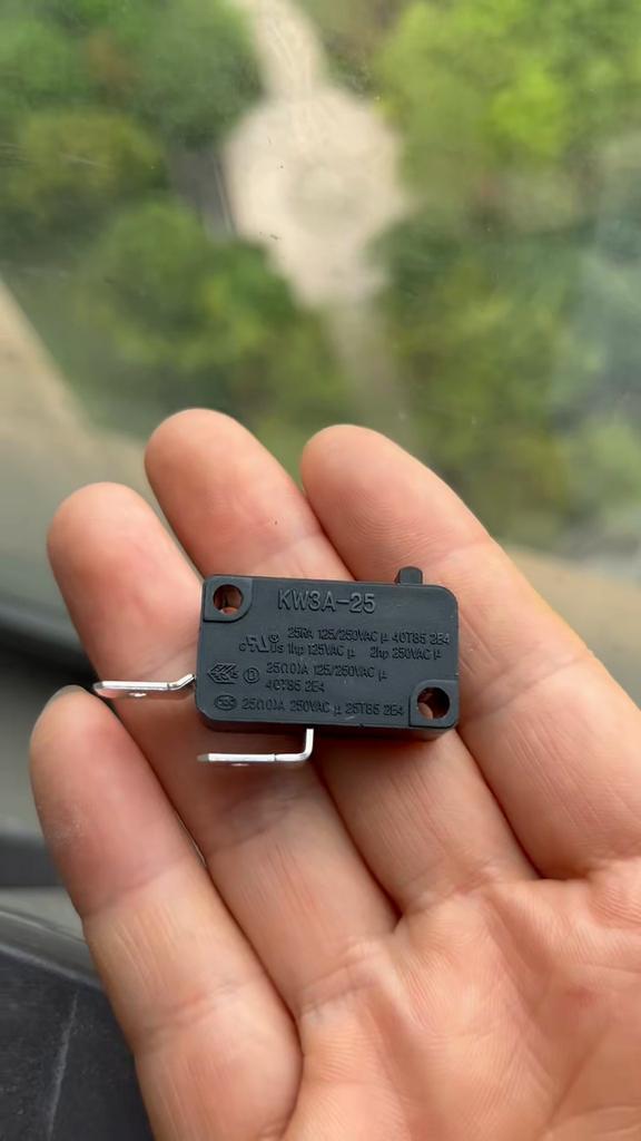 KW3A-25 Micro Switches SPDT No Lever 2 Pin Standard Plunger Microswitch for Oven Microwave Valve Control Cabinet