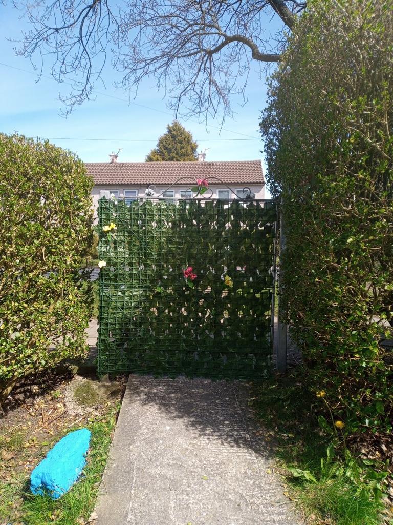 artificial wall garden on 3m Artificial Hedge Ivy Leaf Garden Fence Roll Privacy Screen Balcony Wall Cover Buy From 11 On Joom E Commerce Platform