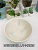 Plant Breathable Watering Device Home Conical Root Protection Tube Plastic Soil Aerator Tube Potted Flower Prevent Root Rot Tool