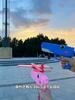 Foam Glider Airplane Launcher Toy, Dinosaur Catapult Gun Aircraft, Outdoor Flying Aircraft with Easy-Load Mechanism, Long Flight Distance Gliders