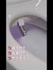 Smart Toilet Cover Bidet Toilet Seat Remote Control Black LED Nightlight Elongated Air Dryer Multiple Spray Modes Nozzle