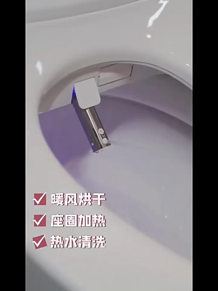 Smart Toilet Cover Bidet Toilet Seat Remote Control Black LED Nightlight Elongated Air Dryer Multiple Spray Modes Nozzle