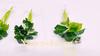 Artificial Green Plant Vivid Appearance Non-Withered Faux Silk Cloth Imitation Simulation Leaves Fish Tank Decoration Photography Prop