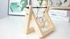 Creative Wooden Frame Hydroponic Small Vase Ins Style Scindapsus Glass Bottle Container Home Living Room Office Desktop Ornament