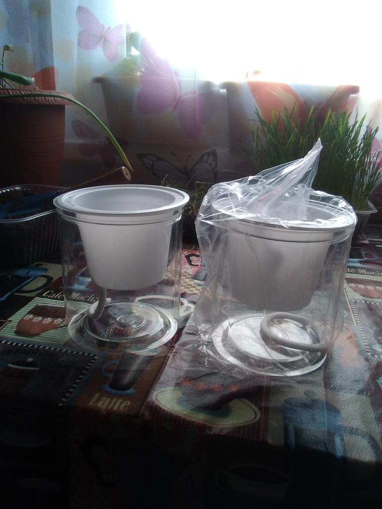Just Contempo – Fioriera Autoirrigante A Forma Di Panda, 8x6x6 Cm, Con Semi E Terreno, Vaso In Ceramica