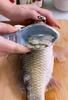 Fish Scale Planer with Cover Household Fish Killer and Durable Manual Scale Scraper Kitchen Tools