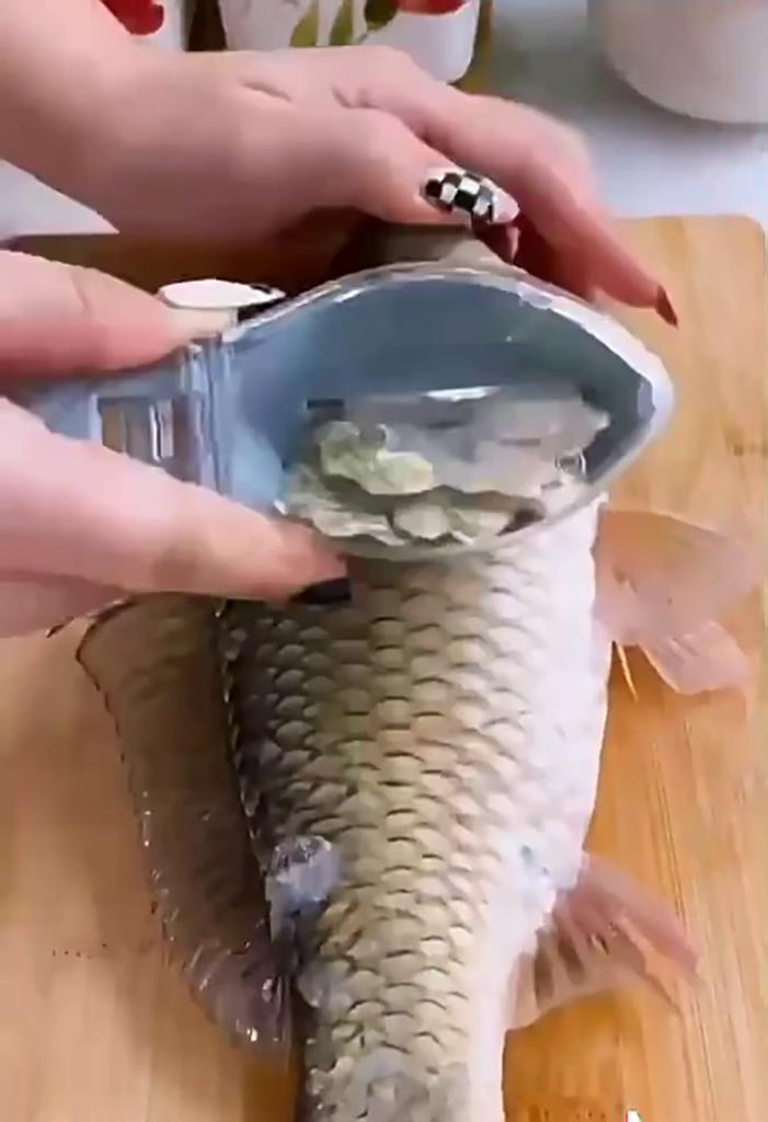 Fish Scale Planer with Cover Household Fish Killer and Durable Manual Scale Scraper Kitchen Tools