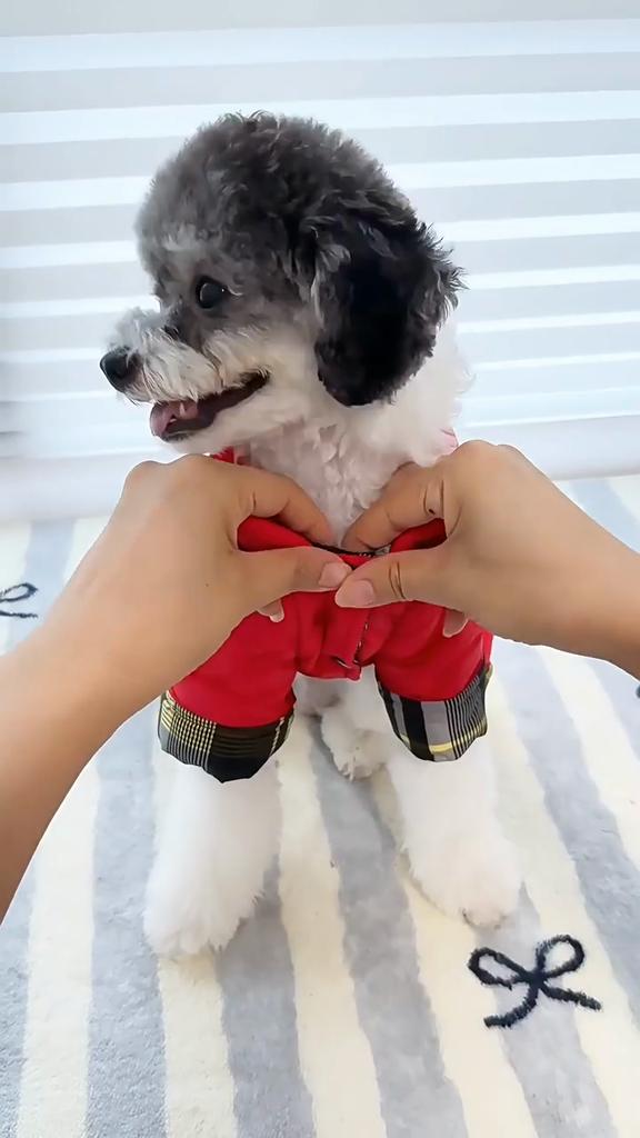 Cotton Dog Coat Four Legged Pet Apparel Winter Warm Puppy Clothes with Embroidery Letter Pattern for Teddy Small Breed Dogs Cold Weather Outfit