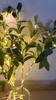 Ramos de Oliveira Artificiais Iluminados Para Vasos, Hastes Decorativas de Folhagem Para Centros de Mesa, Arranjos Florais de Casamento, Decoração de Casa Interior