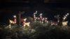 3Pcs Lighted Reindeer Decor,LED Christmas Yard Decorations for Outdoor