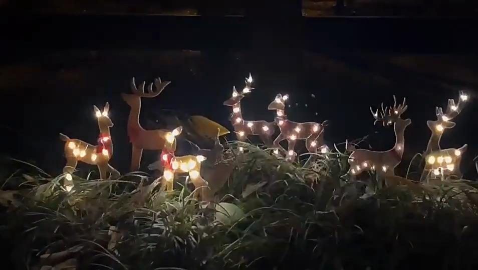 3Pcs Lighted Reindeer Decor,LED Christmas Yard Decorations for Outdoor