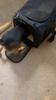 Cat Backpack Pet Carrier Dog Cat Travel Bag Airline Approved Transport Handbag Carrier For Small Dogs And Cats