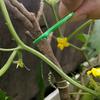 5-50PCS Plant Clips for Climbing Plants, Horticultural Clips for Tomato Plants, Vegetable Clips for Supporting and Fixing Plants