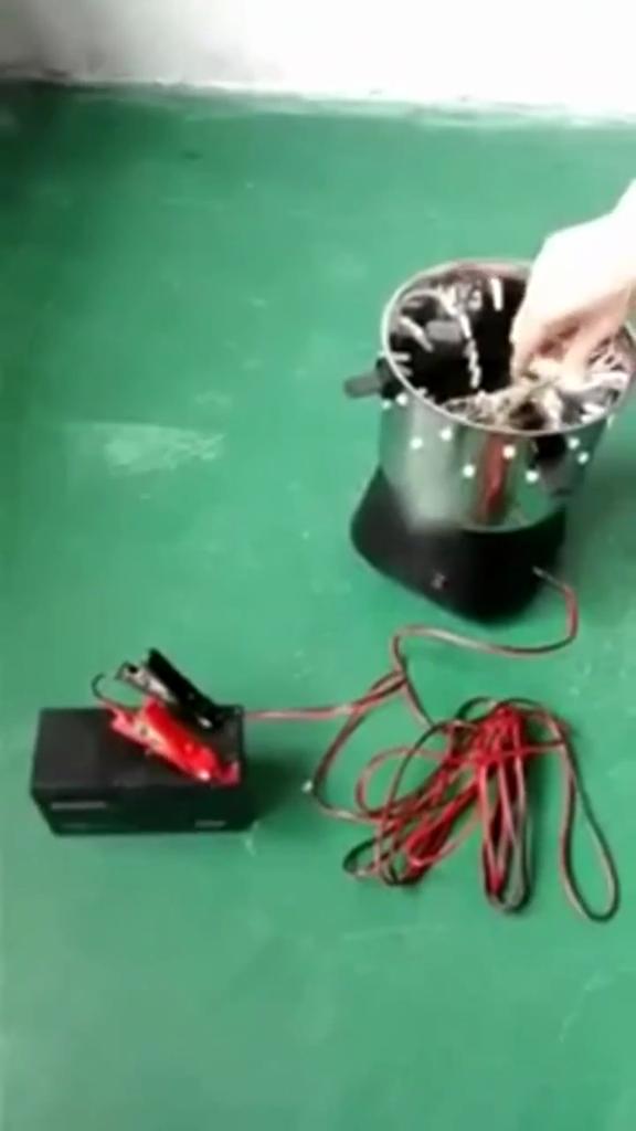 Spiumatrice per pollame Quaglia Uccello Depilazione Spiumatrice Uccelli Epilatore Pollo Strumenti per depilare