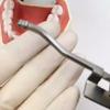 Dental-Papierpinzette, Close-Tip-Artikulation, Miller-Pinzette, Dentallabor, Zahnuntersuchung, Bleaching-Werkzeug, Zahnarzt-Werkzeuge
