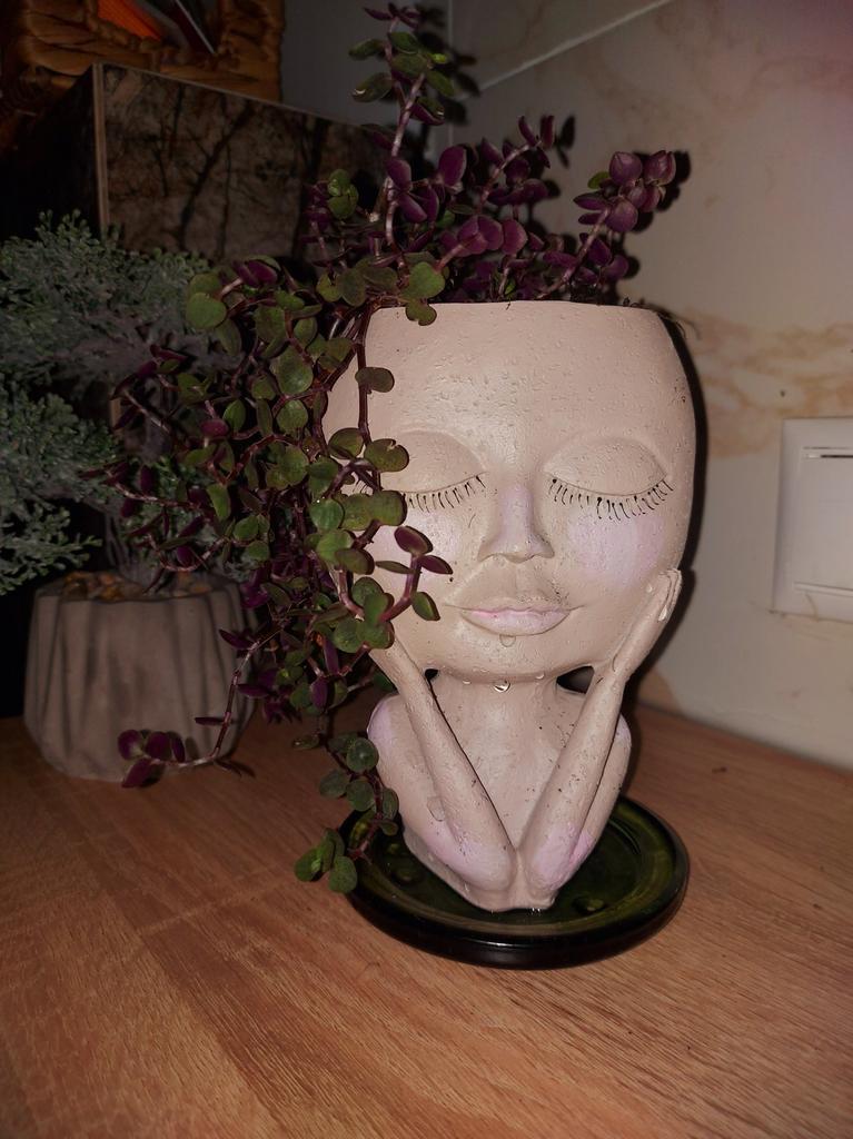 GeLive Head Vaso Per Pi Grasse A Forma Di Testa: Statua Moderna Con Foro Di Drenaggio (Bianco)