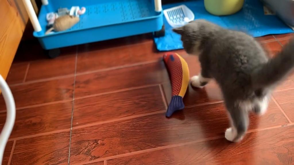 Catnip Fish Cat Teasing Toys Cat Teasing Sticks Grinding Teeth Kittens Self-hi Boredom Doll Puppet Kitten Pet Products