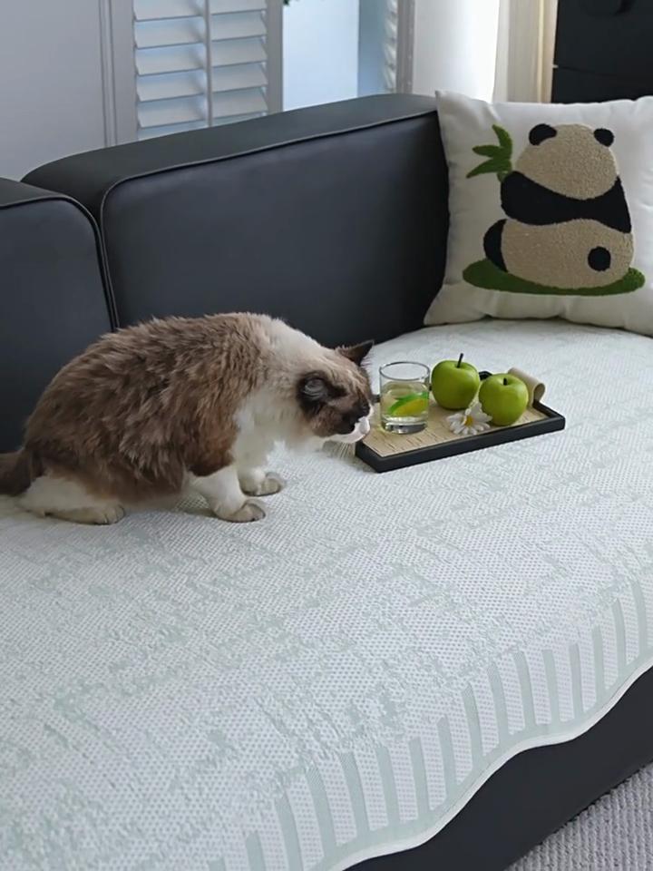 Premium Summer Cooling Sofa Cushion Non-Slip Beaded Mat Luxury Decor Irregular Shape Cover Breathable Seat Protector