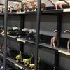 Pleziozaurai Dinozaurai Žaislas Plastikiniai Dinozaurai Modelis Žaislas Simuliuotas Vaikų Žaislas Dovana