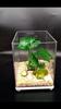 Yousheng Fish Tank Ornament Safe Multiple Styles Fine Workmanship Simulated Pollution-free Decor Wear Resistant Driftwood Clover Plastic Lotus Fish