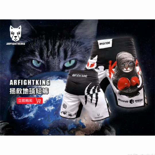 Men Cat Thai Shorts Boxing Shirts Fitness Training BJJ Kickboxing Shorts Kids MMA Muay Thai Grappling Trunks