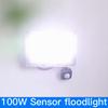 Датчик движения LED Холодный свет Уличный светодиодный прожектор AC220V 50W 100W 200W 300W 500W Водонепроницаемый садовый светильник Декоративная светодиодная лампа
