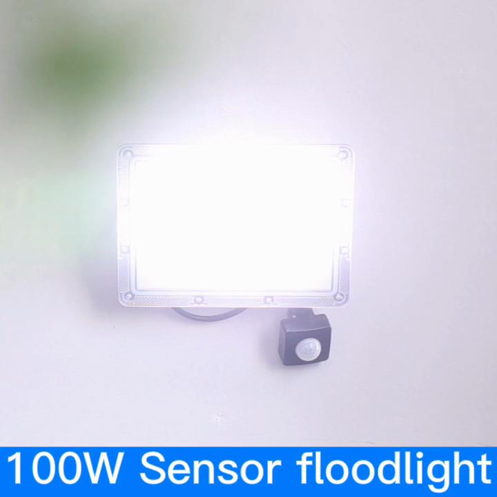 Датчик движения LED Холодный свет Уличный светодиодный прожектор AC220V 50W 100W 200W 300W 500W Водонепроницаемый садовый светильник Декоративная светодиодная лампа