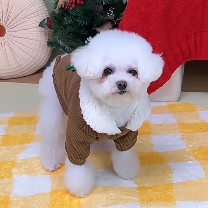 Christmas Corduroy Thickened Warm Small Breed Dog Clothes with Harness Compatible Teddy Bichon Pet Apparel for Winter Holiday