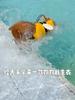 Summer Dog Life Jacket Buoyancy Suit Pet Supplies Golden Retriever Large Dog Swimming Life Jacket