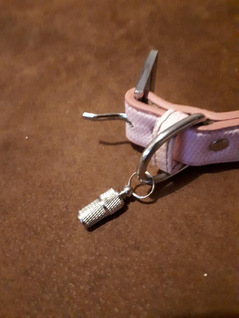 Buy Anti Lost Barrel Tube Collar Dog For Pet Id Tag Name Identity