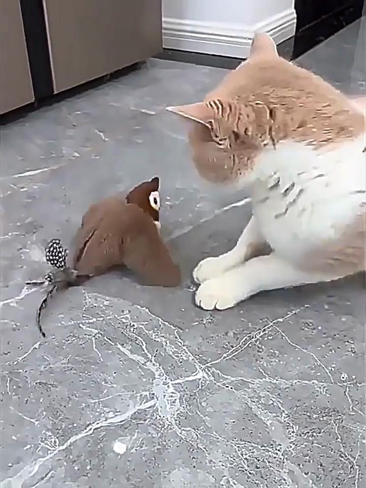 Cat Interactive Electric Toy with Mobile Bird, USB Charging,Realistic Flying Motion, Safe Plush Body and Feather Tail, Suitable for Indoor/outdoor Use