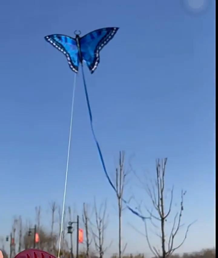 Schmetterlingsdrachen mit Fiberglasgestell für die Freizeit im Freien, für Kinder und Erwachsene