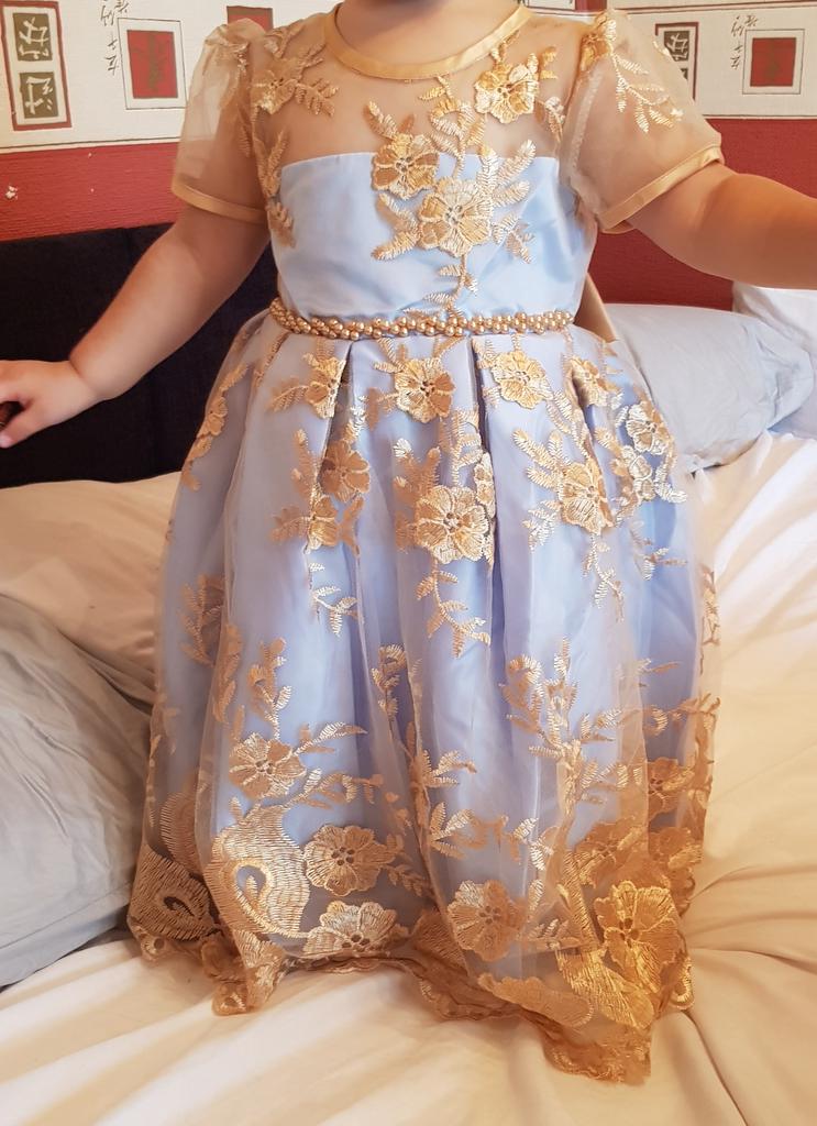 baby girl embroidered dress