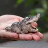 1pcs Boutique Tea Petting Little Alligator Tea Pet Ornaments Handmade Tea Ceremony Financial Decorative Toys Gift
